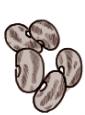 beans (185x249, 13.4KB)